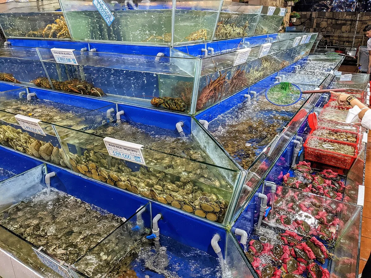 Live seafood tanks with prices, Da Nang: point, weigh, grill