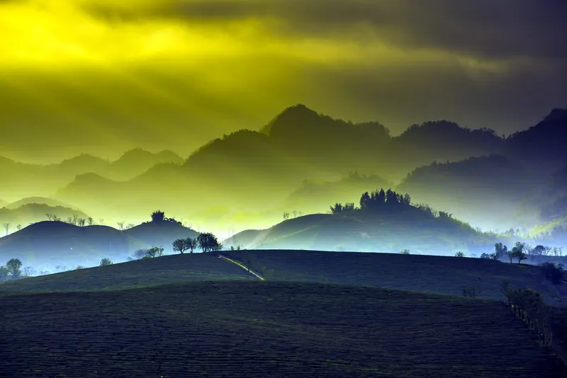 Moc Chau