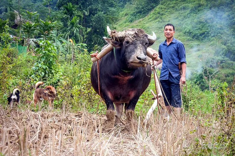 Pu Luong Nature Reserve