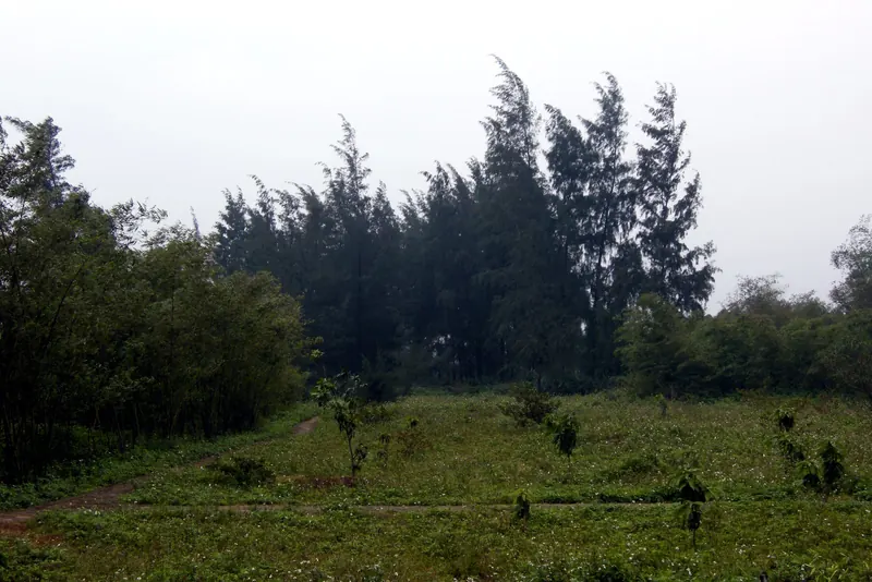 Vinh Moc tunnels
