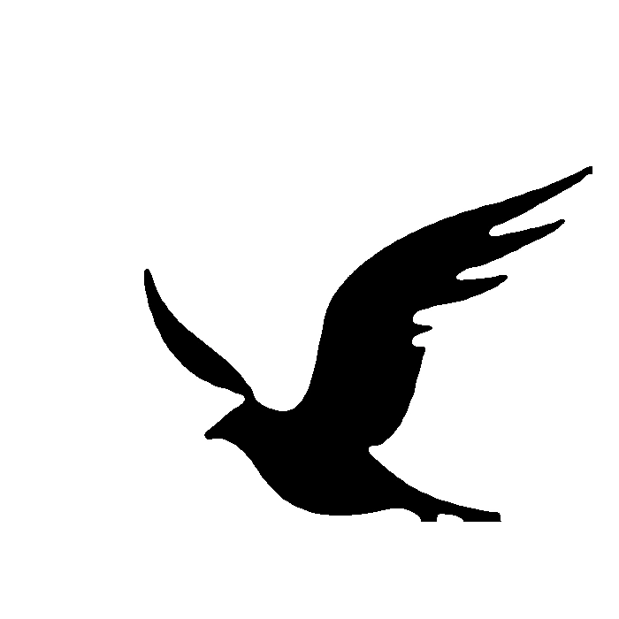 The Ascent bird